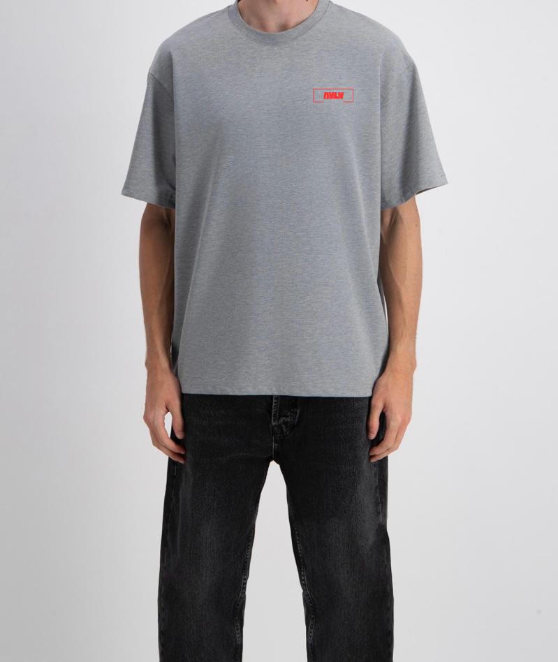 T-Shirt Oversize AVLV Gris Chiné